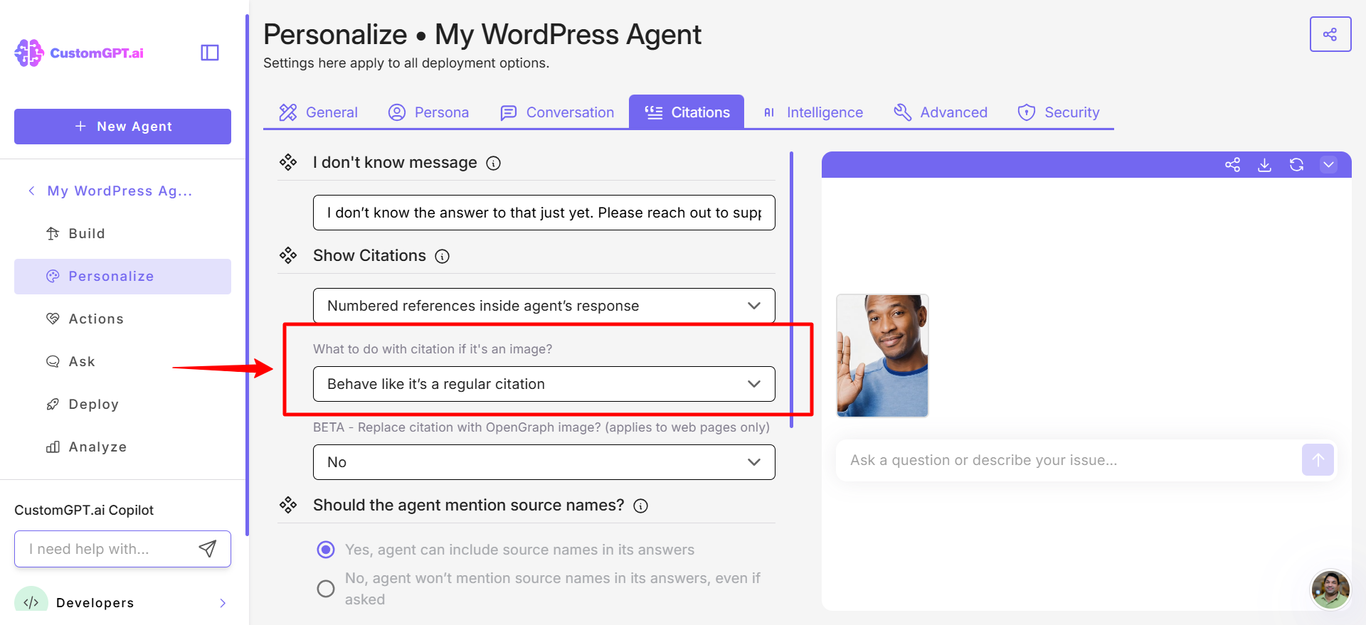 Step 3 - Citation image section