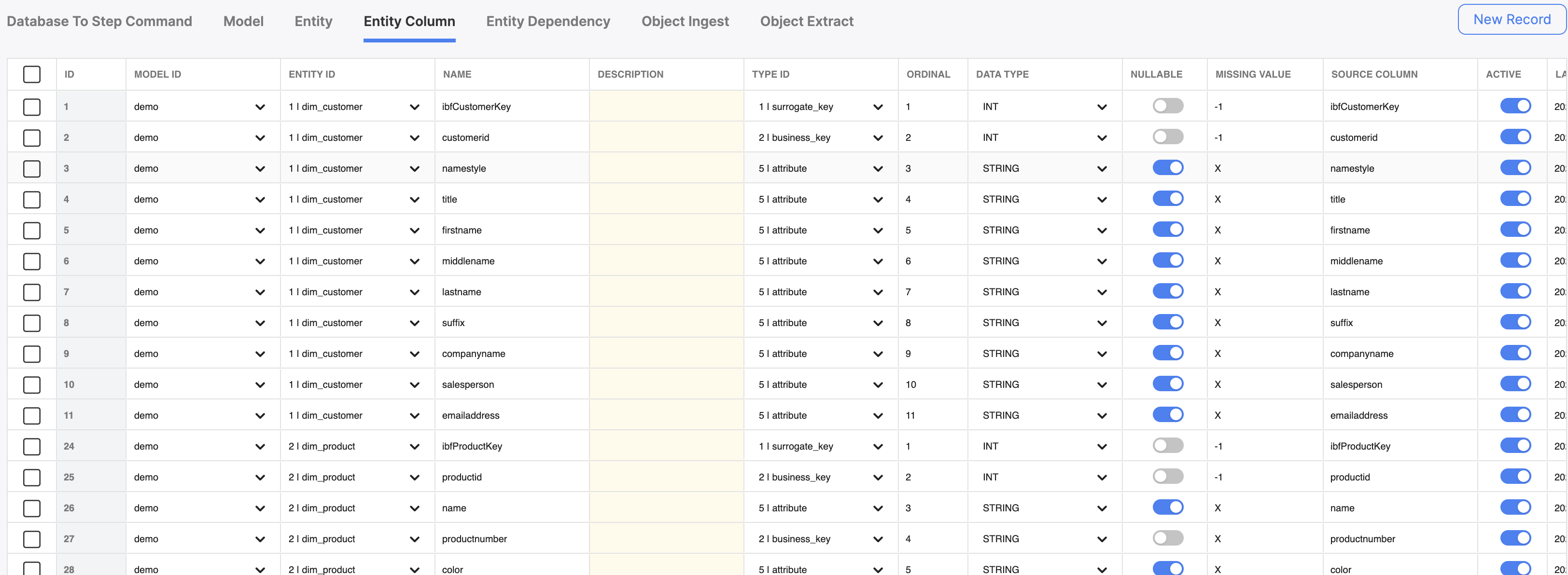 The Entity Column table, which shows all existing entity columns while providing the ability to create new ones.