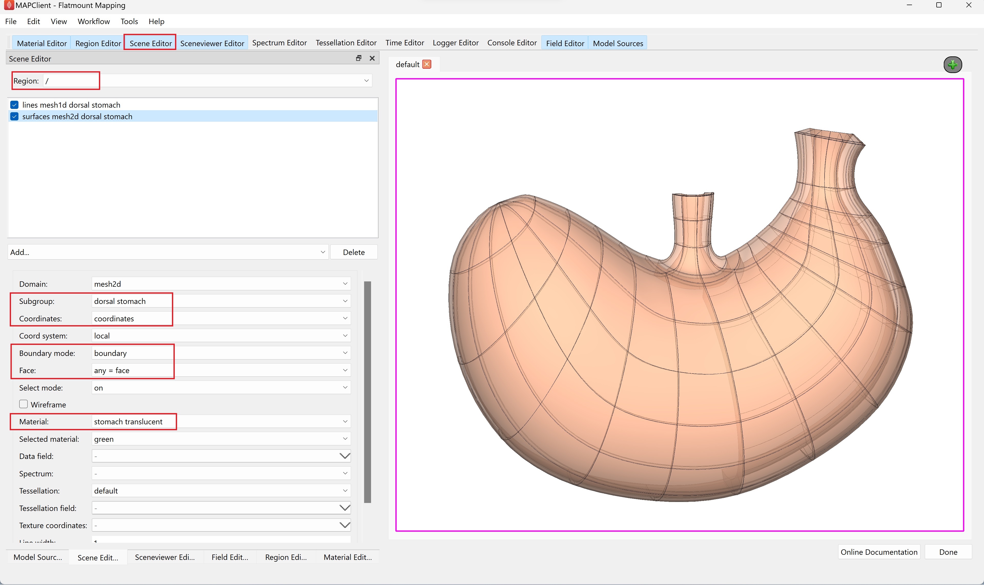 Figure 13. Scene Editor settings for displaying lines and surface of a dorsal stomach scaffold.
