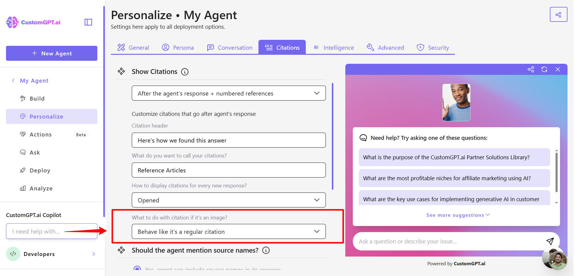 Step 3 - Citation image section