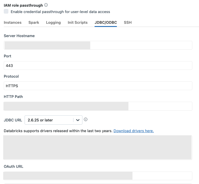 Databricks Advanced Settings