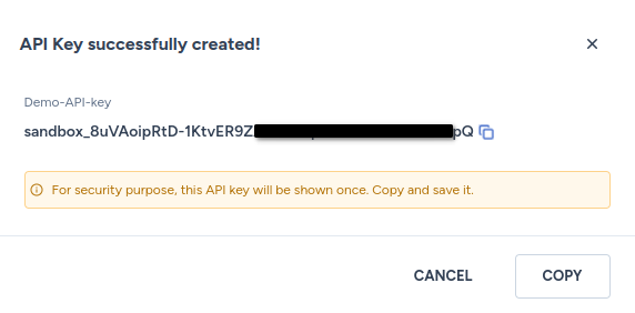 Fig. 2: Copy the newly created API key.