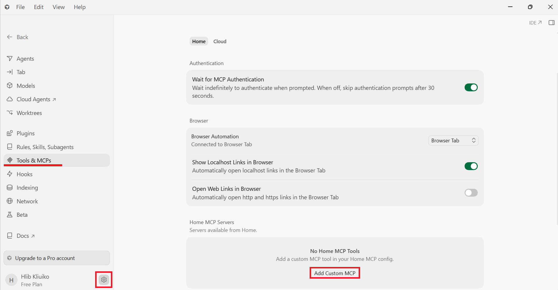 Add Custom MCP