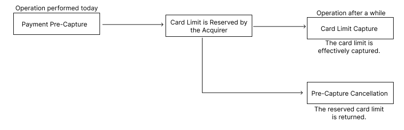 Schematization of Pre-Payment Capture