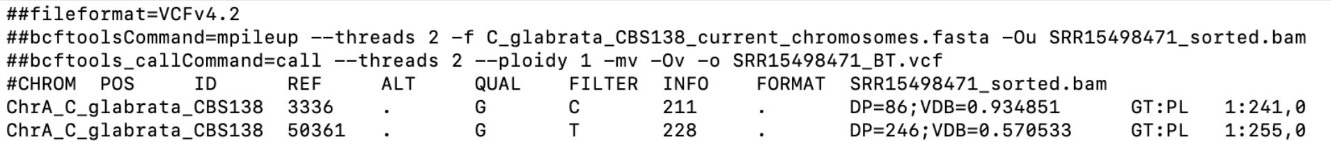 Fig. 5: An sample vcf file