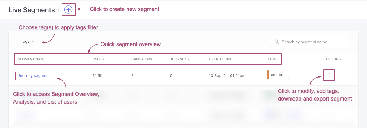 Segments-Live-Segments-overview.png Click to enlarge