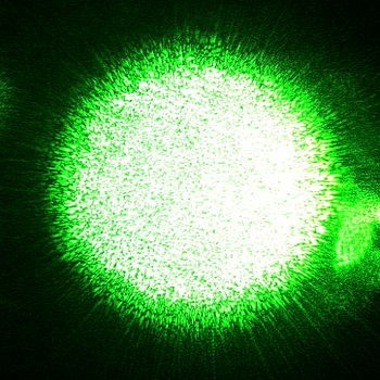 Figure 14. Laser speckle from a green laser pointer. Courtesy of ref. 3.
