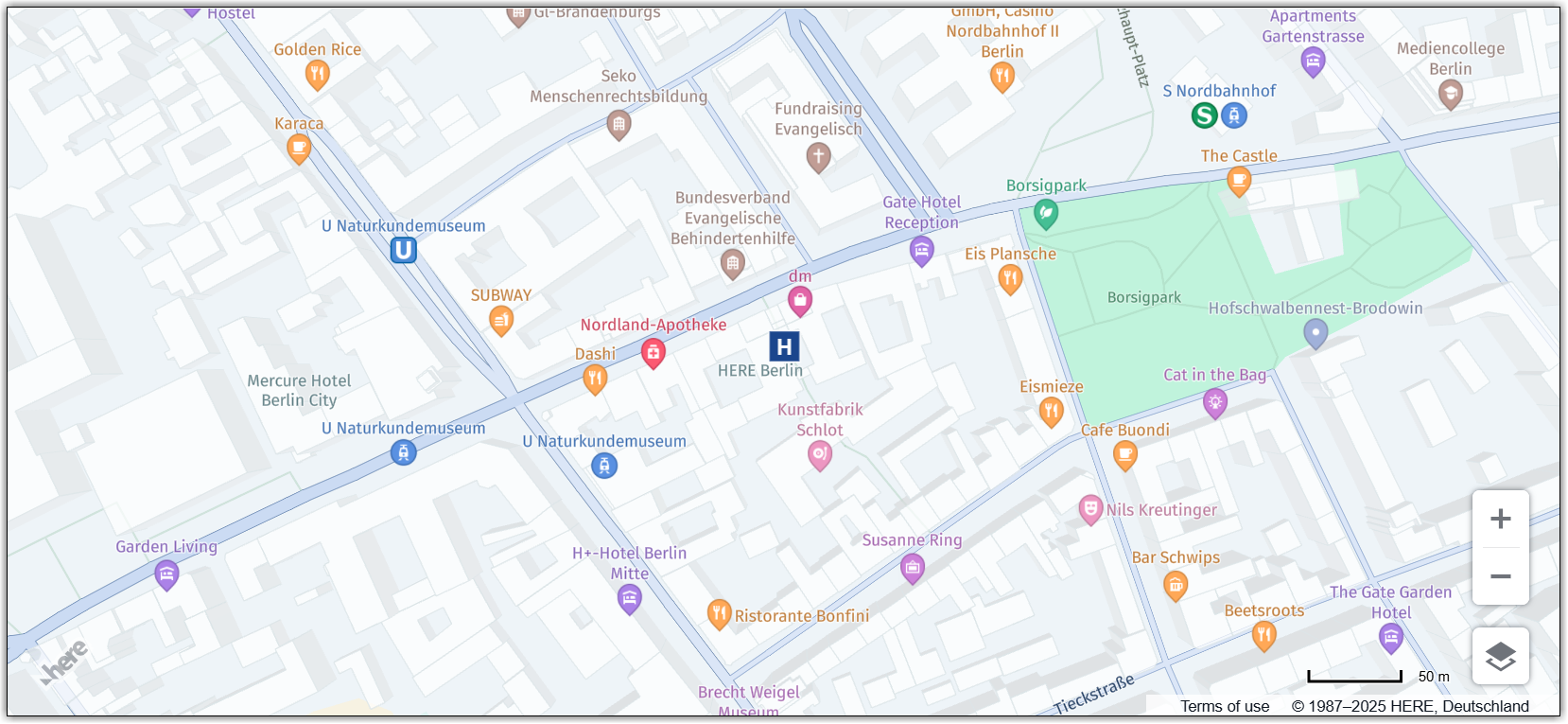 The map after adding the SVG marker