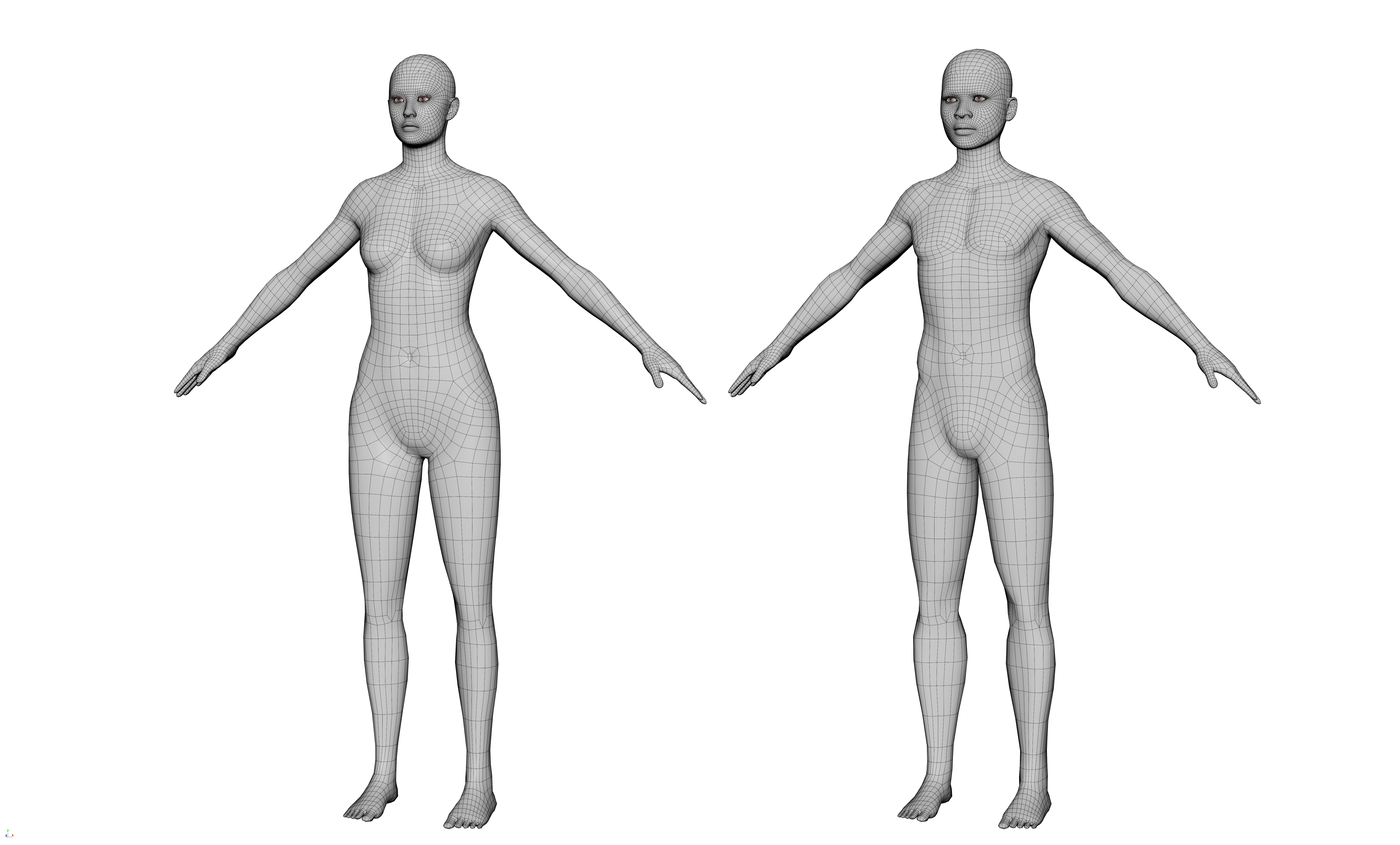 Shared Body topology which can blendshape between Male and Female