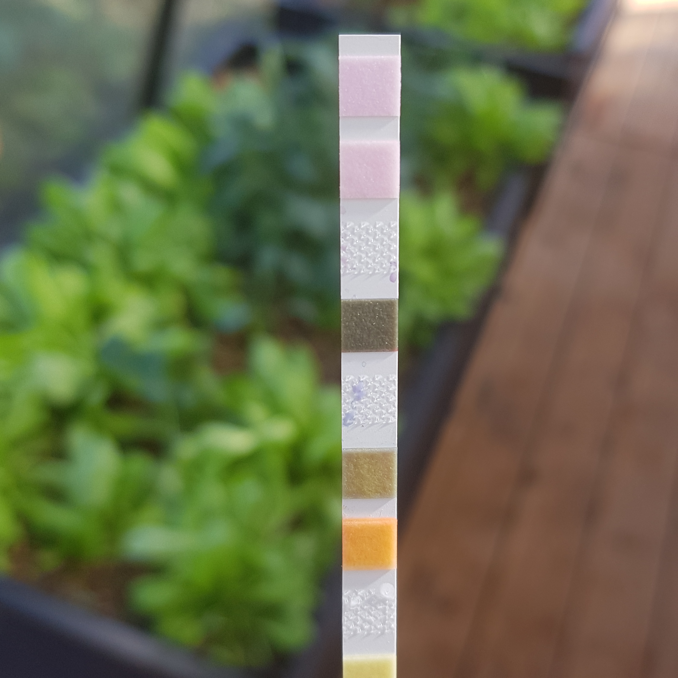 test-dilu.jpg
