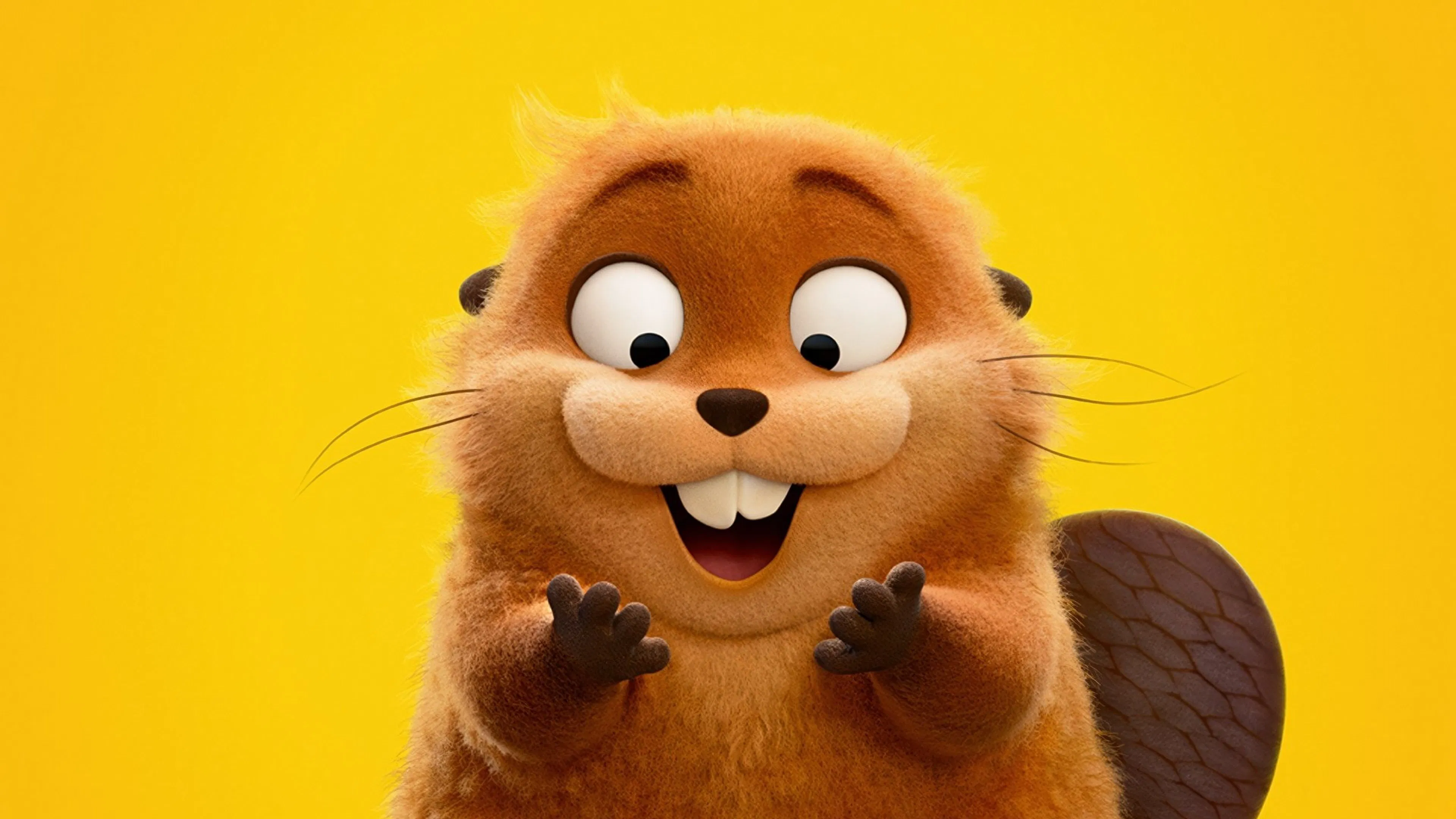 호퍼스 (𝐇𝐎𝐏𝐏𝐄𝐑𝐒) 다시;보기 버젼 ~12K 꼬두람이 [정식버전]