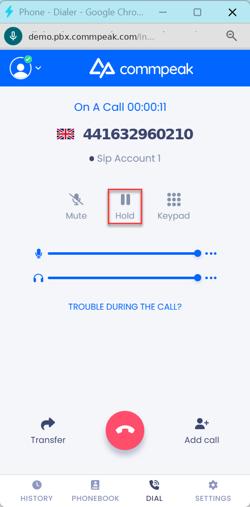 Screenshot of the Hold call option