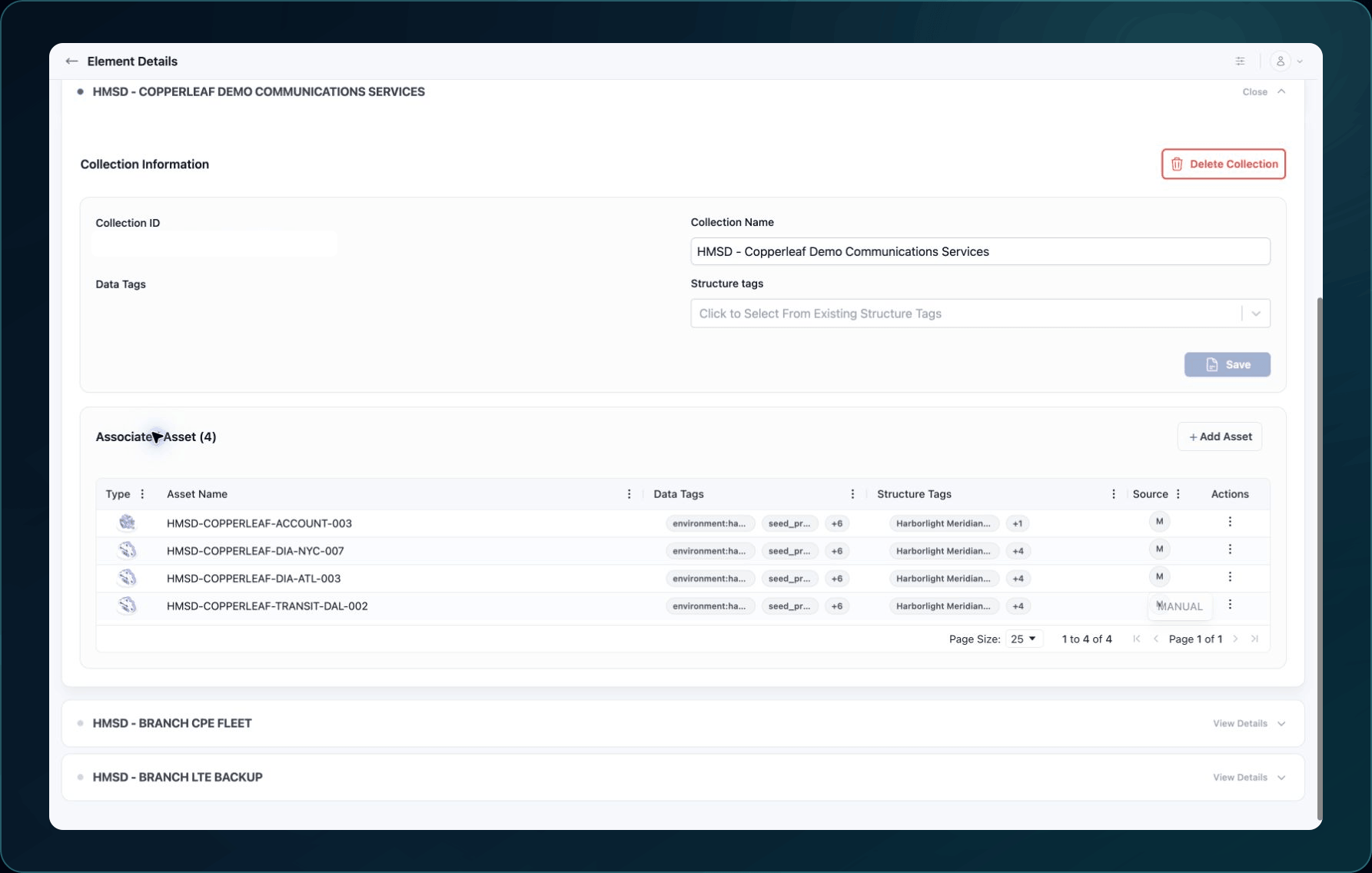 Collection details showing editable tags, associated example Assets, row actions, and Add Asset.