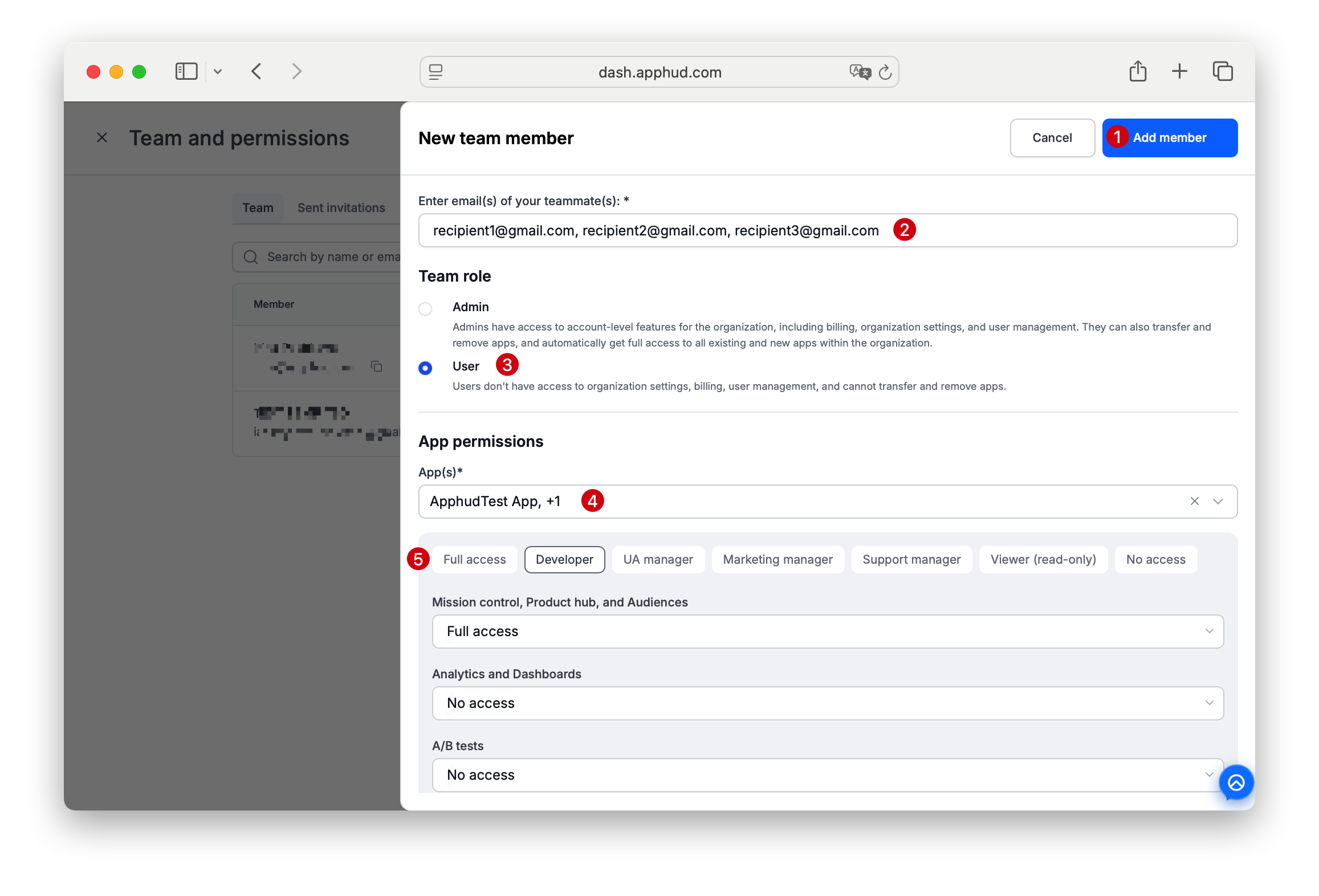 Apphud - team member invitation email
