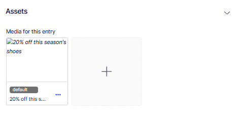 Screenshot of the Assets section of a product entry showing a thumbnail grid with one attached image labeled default.