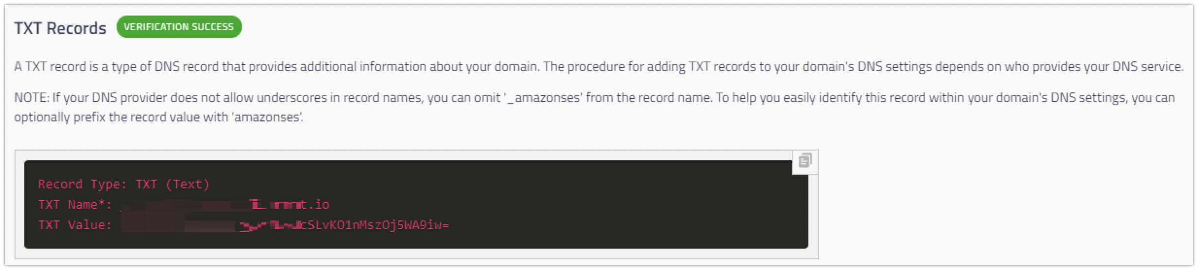 Screenshot Displaying the TXT Records.