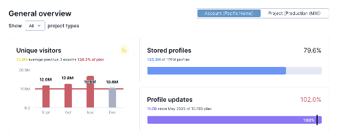 Usage dashboard showing Unique visitors, Stored profiles, and Profile updates metrics