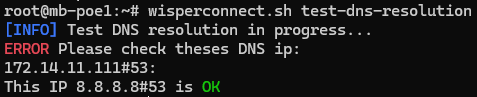 Test DNS