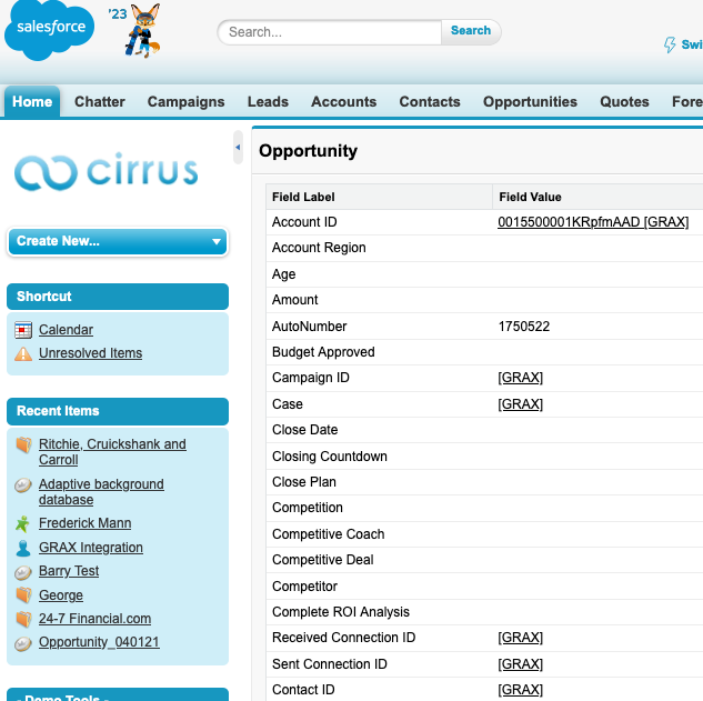 Salesforce Classic page showing the fields from the selected record