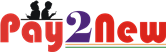 Pay2New Fintech