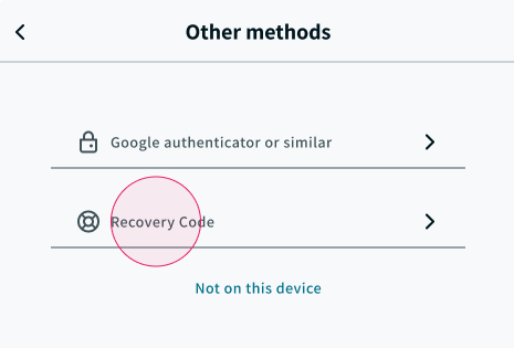 Click “Try another method” to use the recovery code option