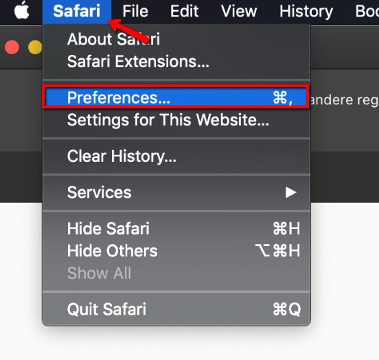 safari preferences