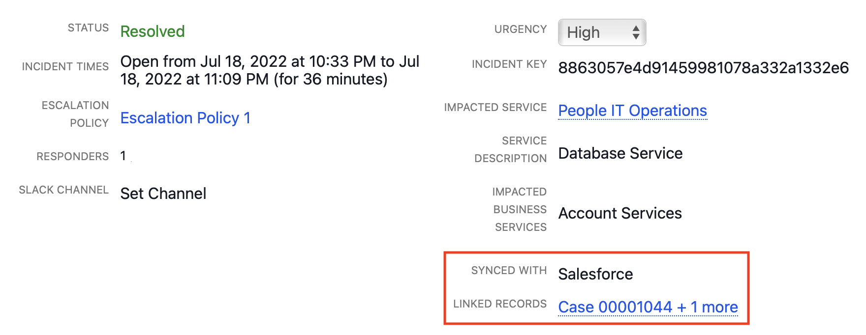 Linked Salesforce record
