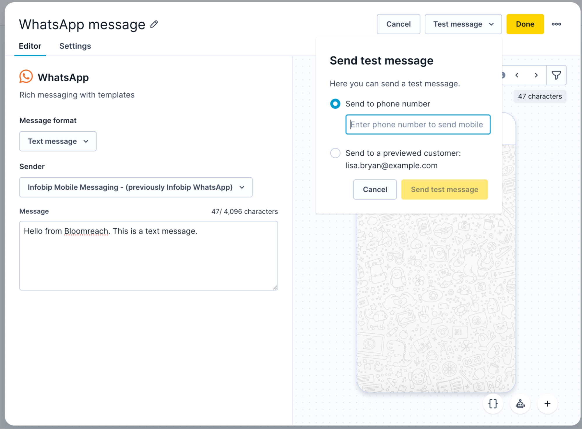 Send test message panel showing options to send to a specific phone number or to a previewed customer.