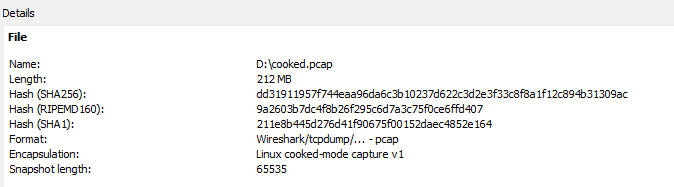 Wireshark cooked pcap output