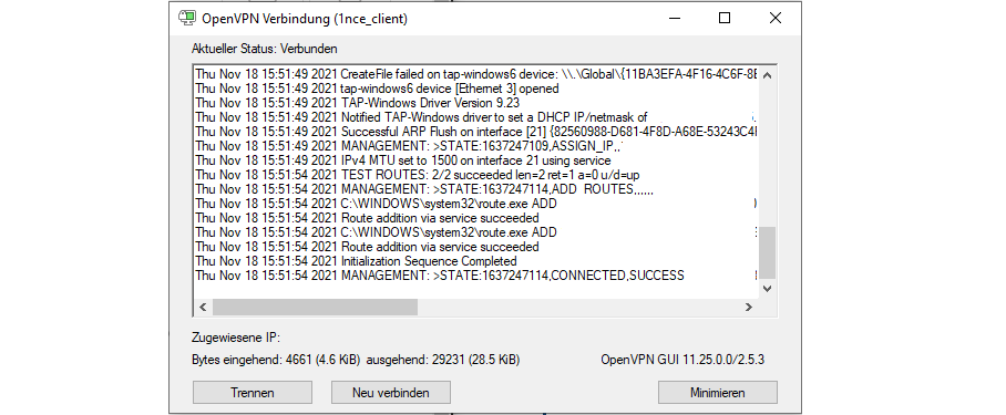 Pop-up window shown during the connection establishment process of the Windows OpenVPN client.
