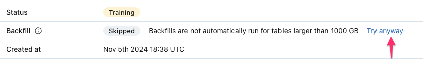 "Skipped" backfill due to the table being larger than 1 TB, with an option to "Try anyway".