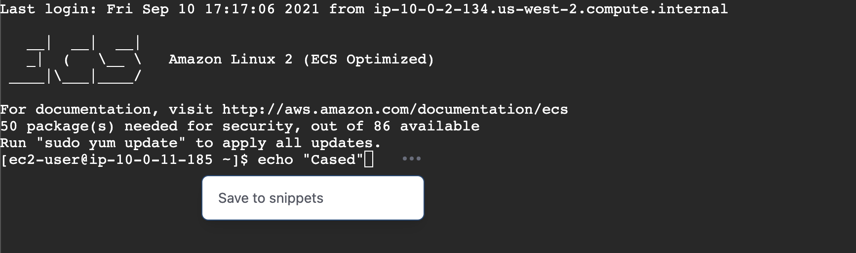 save snippets.png
