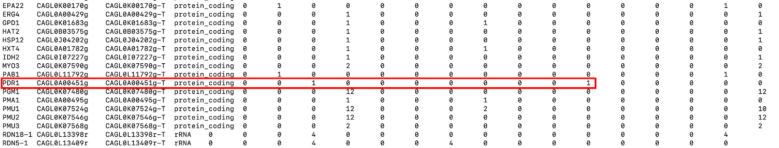 Fig. 9: A snapshot of snpEff_gene.txt file. Red rectangle highlights the mutations in the PDR1 gene.