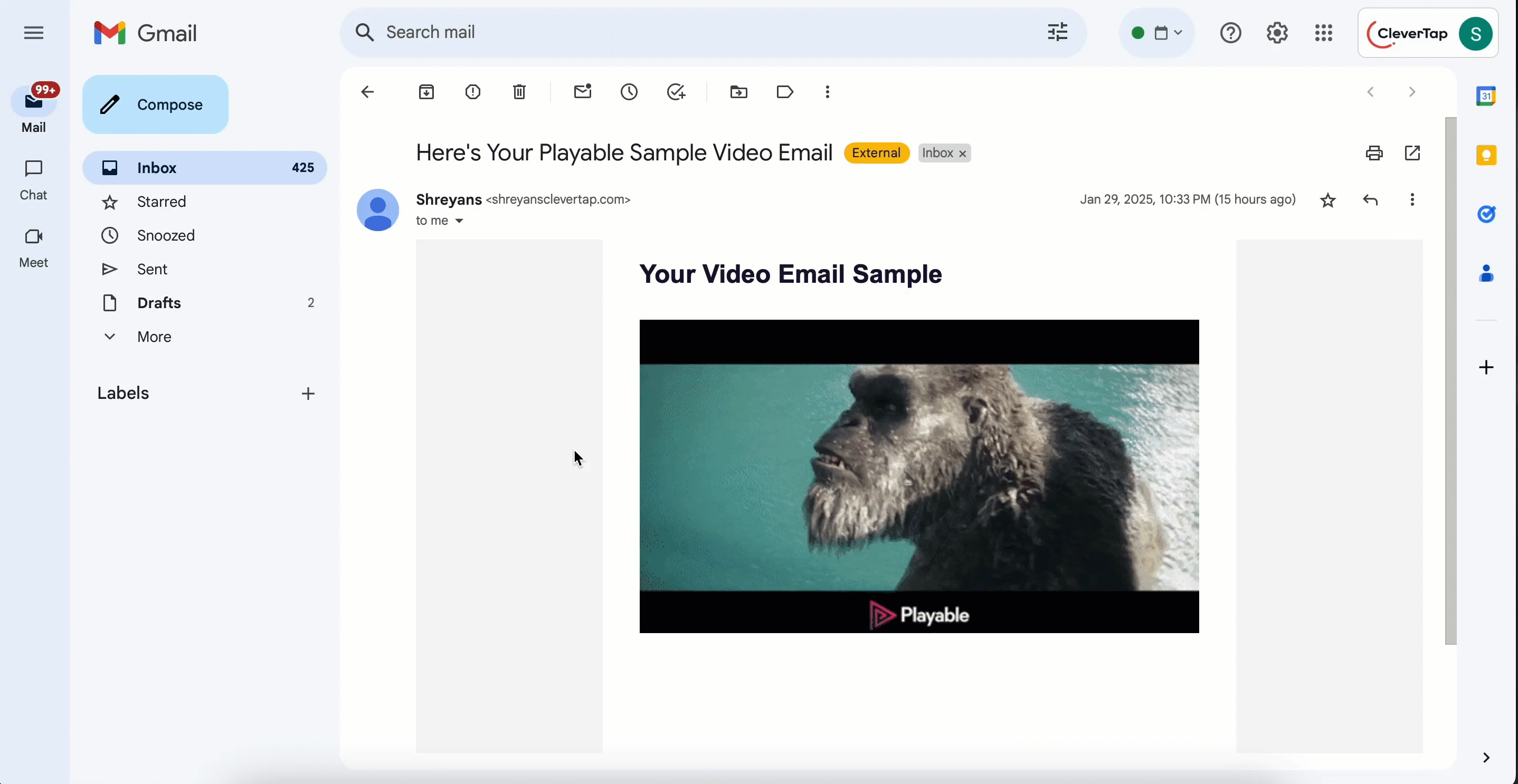Test Email