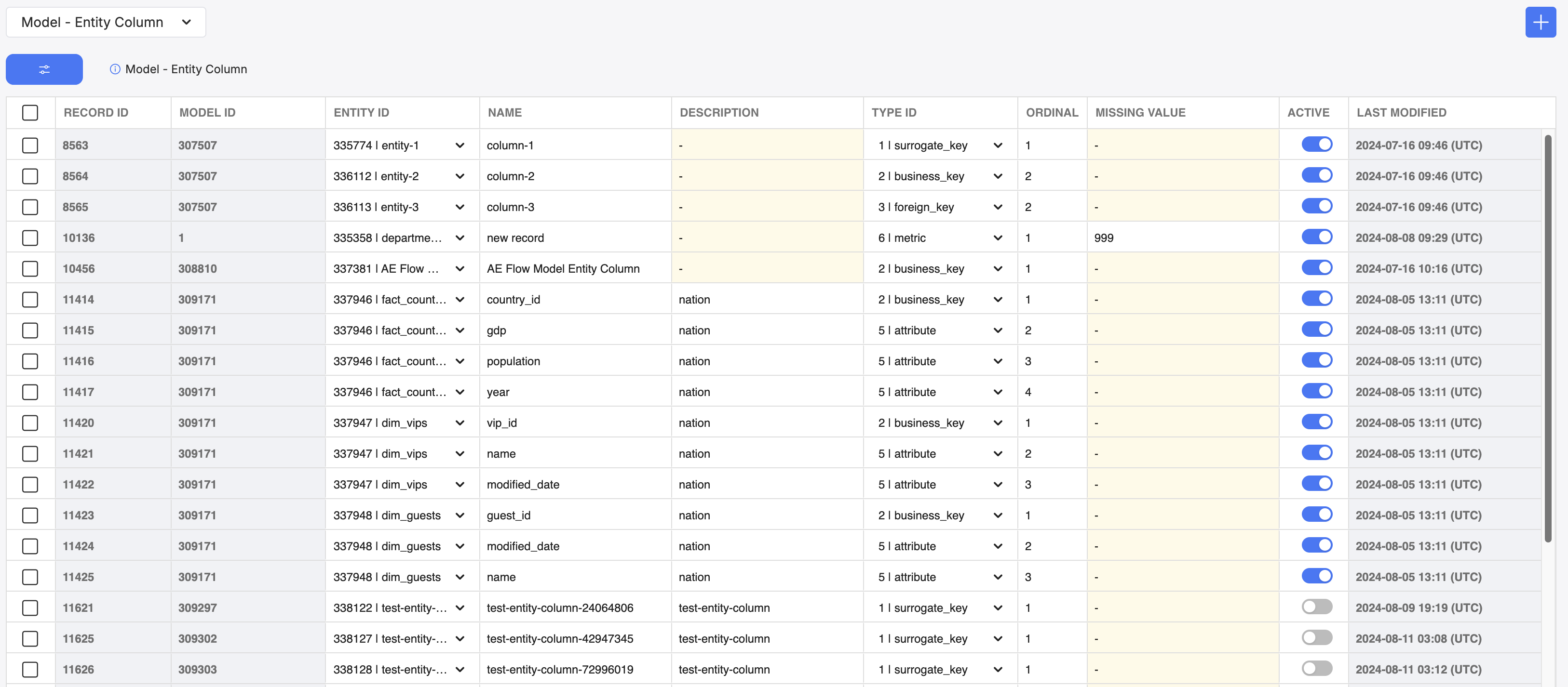 The Entity Column table, which shows all existing entity columns. You can also create new ones.