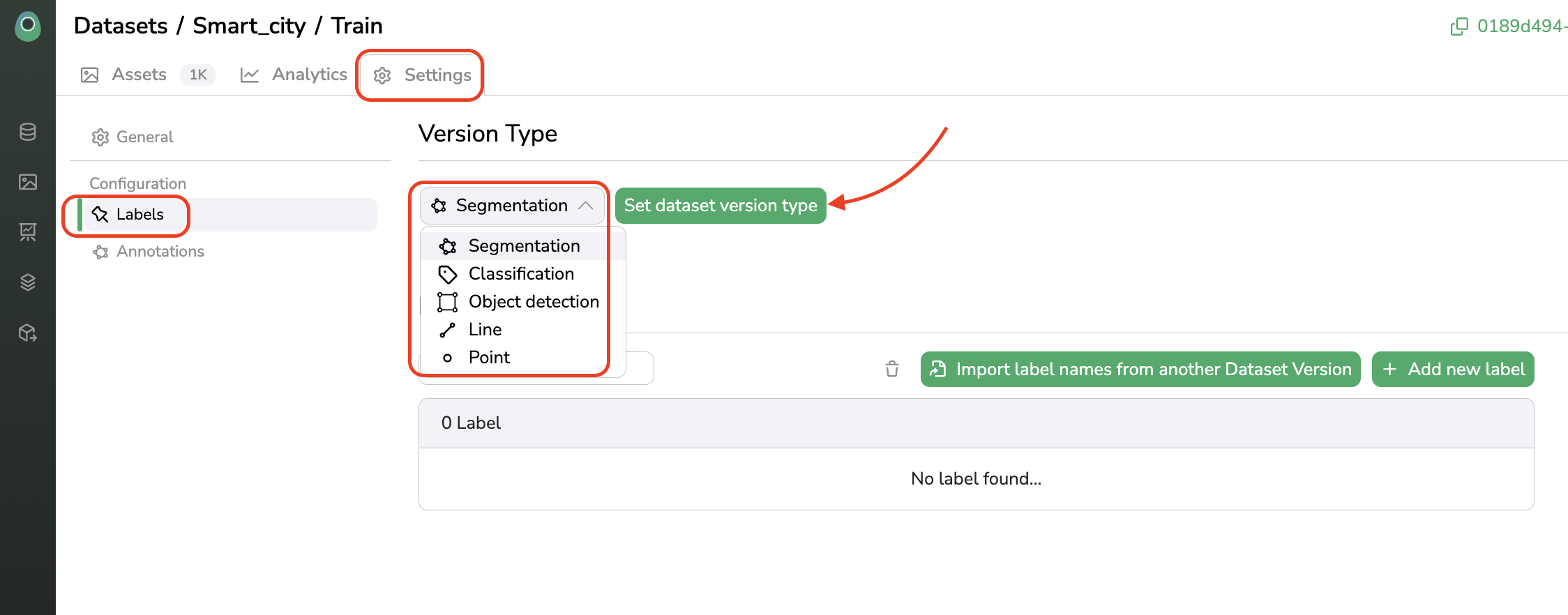 `DatasetVersion` setup