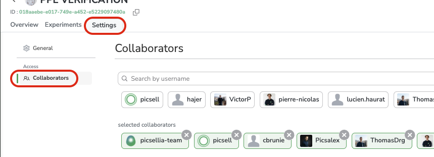 Collaborator tab of Project Settings