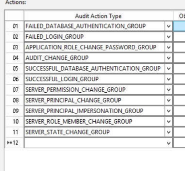 audit action types.jpg