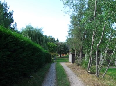 1f1f444-3.jpg