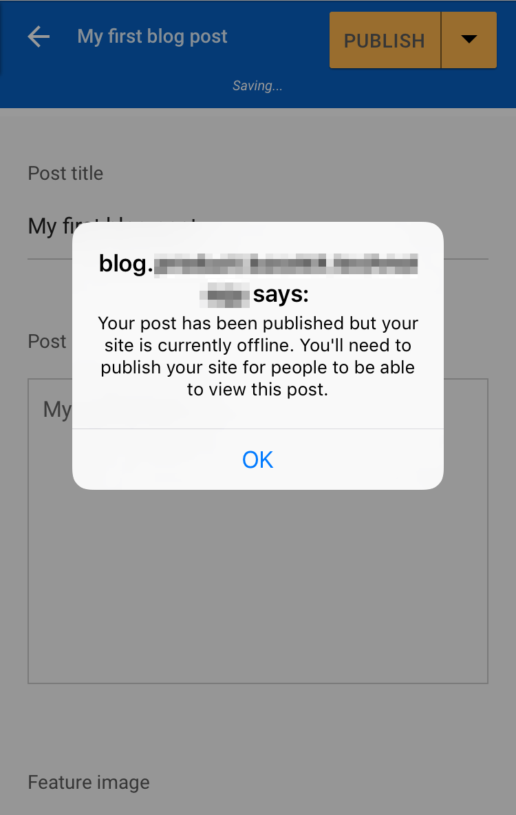 Tap OK to publish your blog post