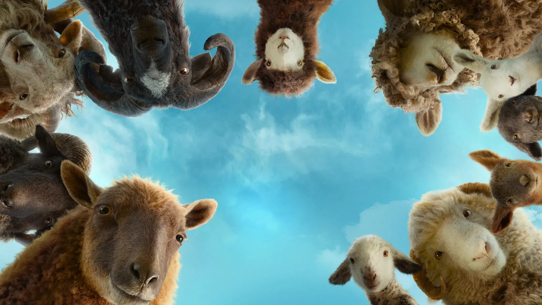 แก๊งแกะรอย ยอดนักสืบ (The Sheep Detectives) FHD พากย์ไทย 2026