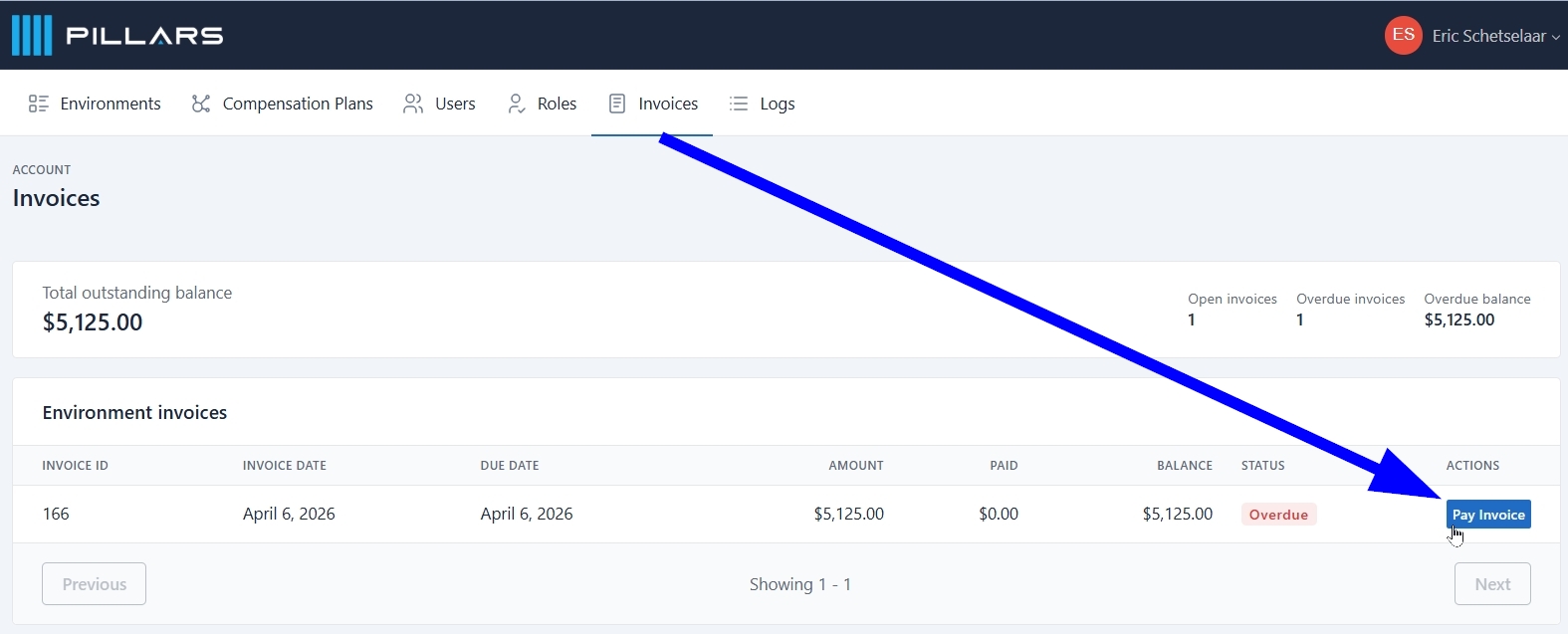 "Pay Invoice" button on the Pillars Portal Invoices tab.