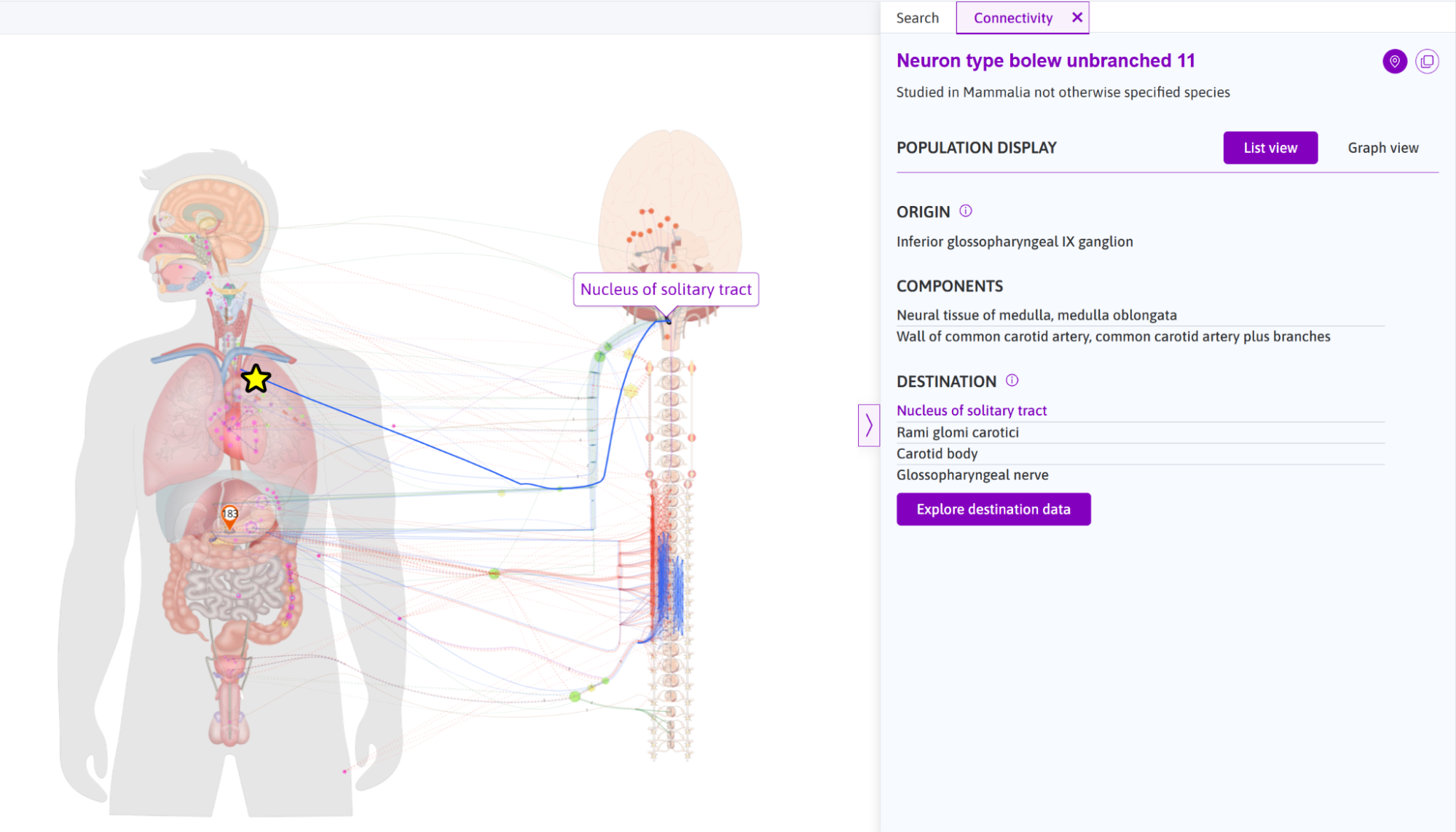 Hovering over a feature in List View highlights corresponding anatomical features on the map.