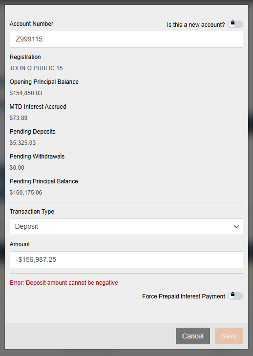Negative Amount Error