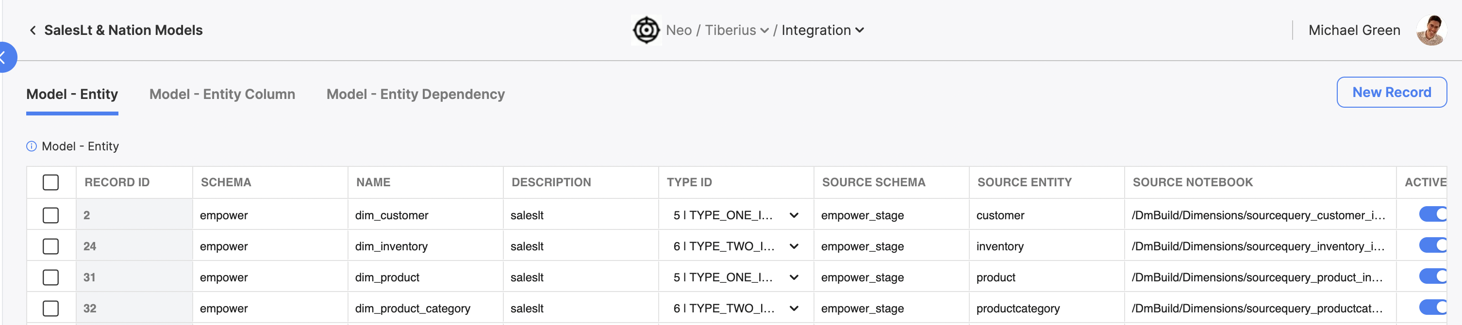 The Entity table, where you can view information about all the entities within this AE flow's model.