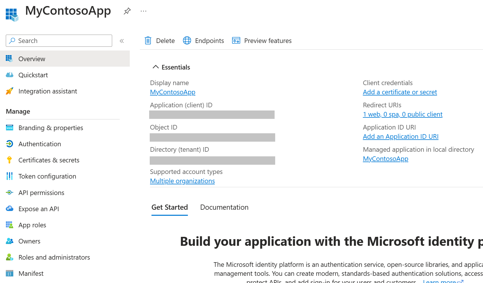 App registration Overview page.