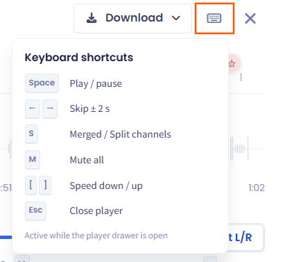 Keyboard shortcuts list in the player header