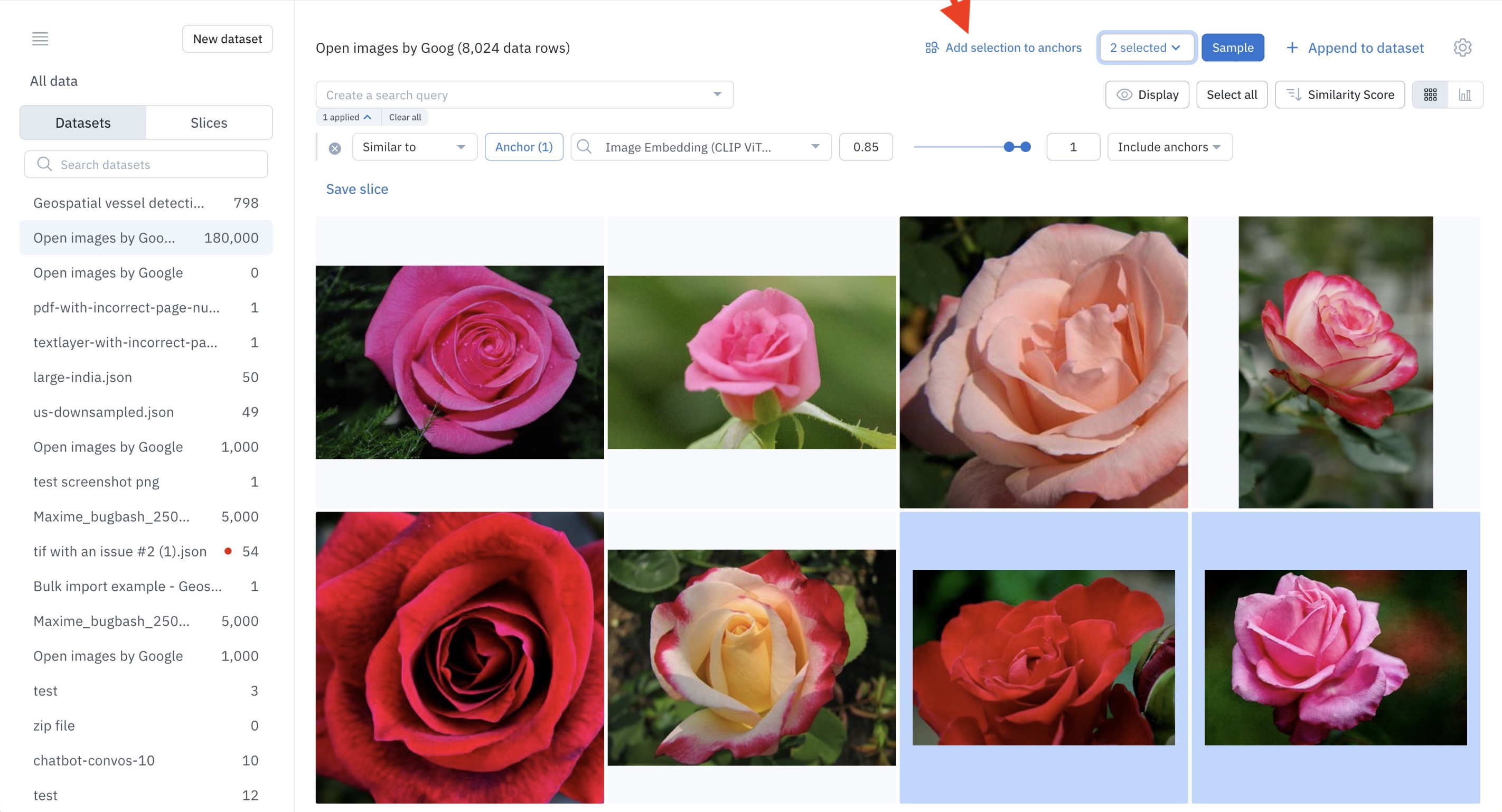 Add selected images as anchors to refine your similarity search