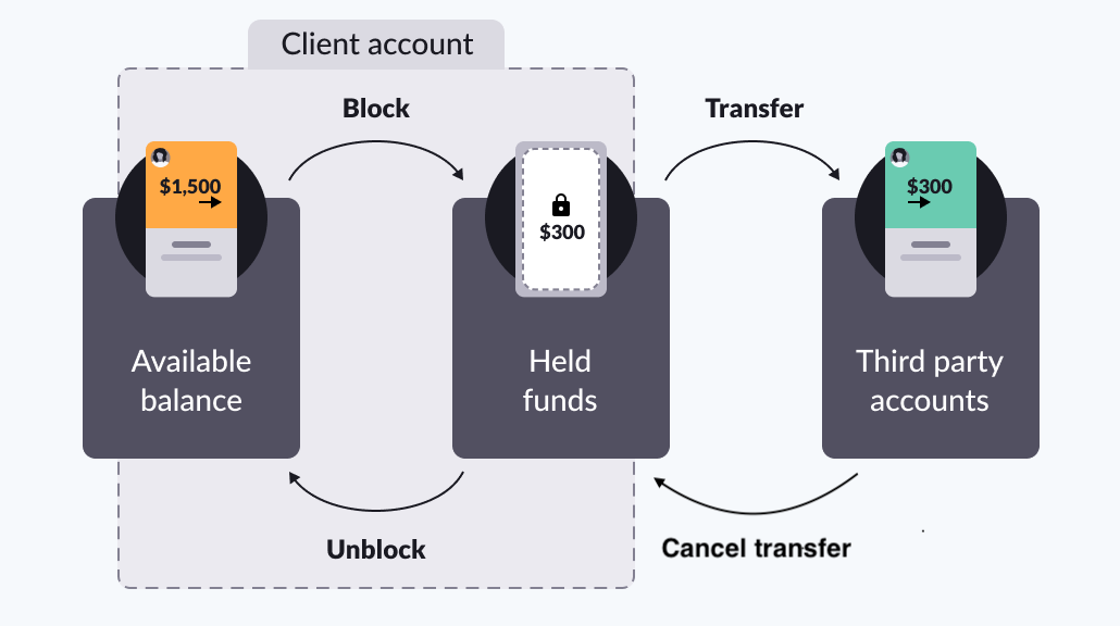 Image showing the hold funds transaction flow.