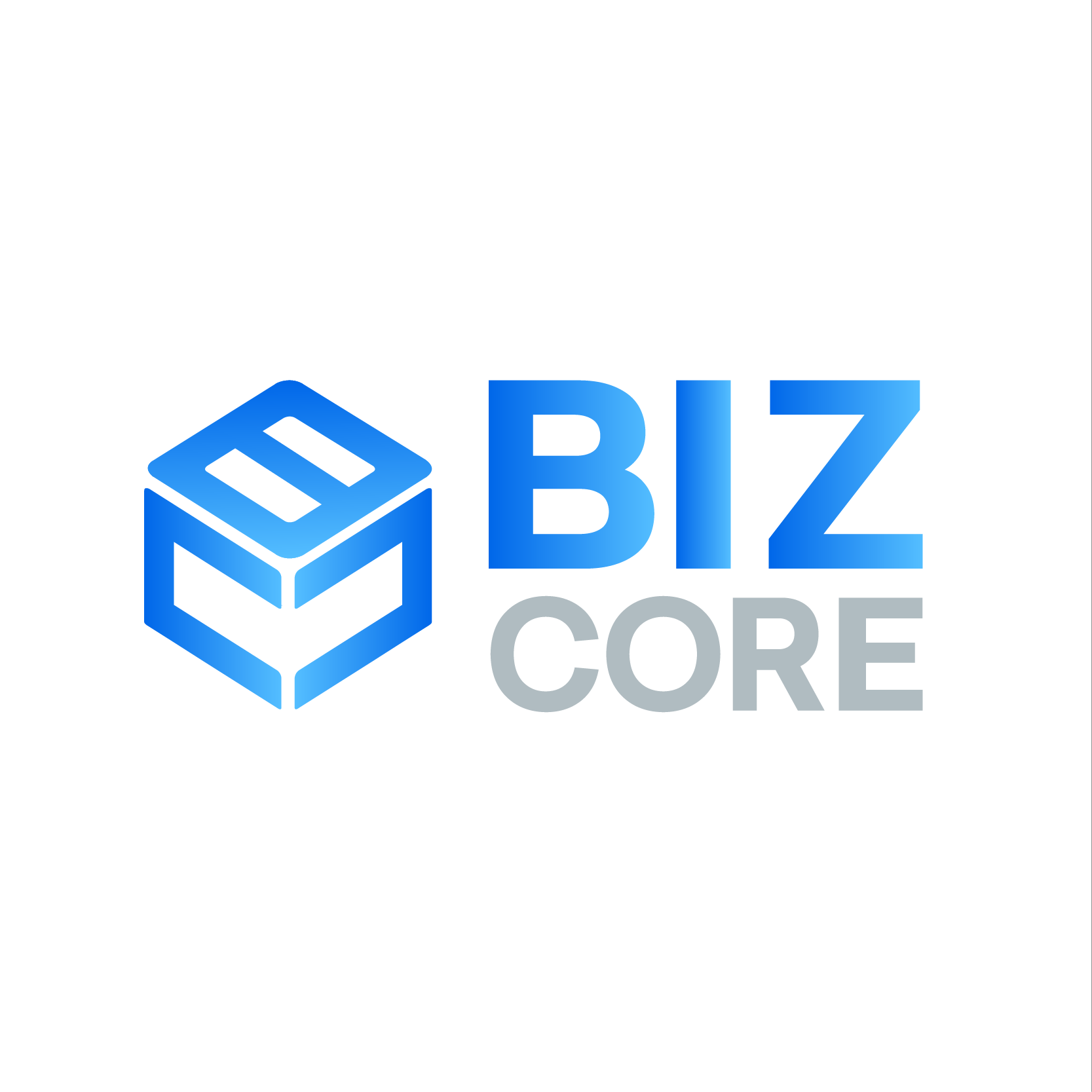 Biz Core API